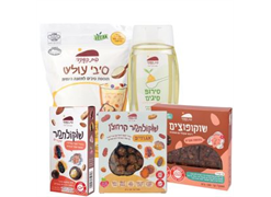 מבצע בית השקד