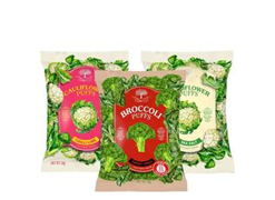 מבצע לחברי מועדון : טמול*