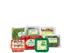 מבצע לחברי מועדון : הנבטים של אודי*