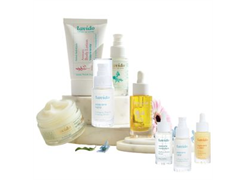 מבצע לחברי מועדון: לבידו