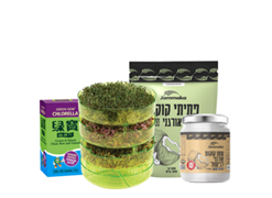 מבצע ג`אמוקה