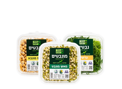 מבצע נבטי העמק