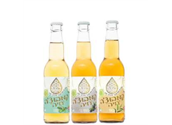 מבצע קמבוצ`ה חיה - LIVING LIQUIDS