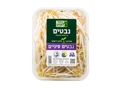 נבטים סיניים אורגניים- נבטי העמק