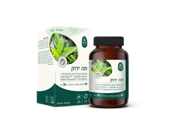 תה ירוק 60 כמוסות צמחיים - ברא