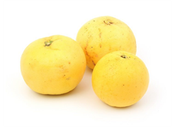 מבצע אשכולית אדומה/פומלית אורגנית במשקל