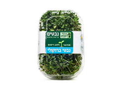 נבטי ברוקולי אורגניים- נבטי העמק