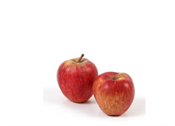 תפוח עץ ניקוטר אורגני