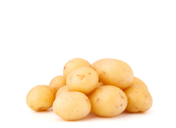 מבצע תפוח אדמה צהוב אורגני במשקל