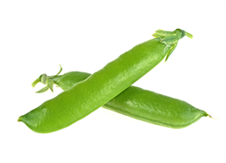 אפונת שלג אורגנית ארוזה