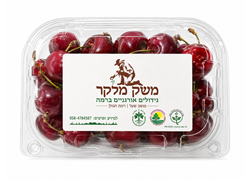 דובדבן אדום/לבן טרי אורגני ארוז