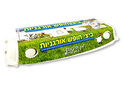 מבצע ביצים אורגניות  12 בארותיים
