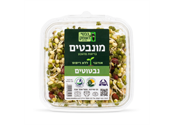 נבטוטים אורגניים- נבטי העמק