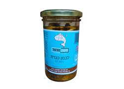 לבנון כנרת בשמן זית  - משק מלמד