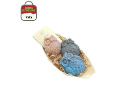 מארז 3 ינשופים- אביטל רמדי