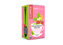 תה צמחי עם תות וסמבוק אורגני - קליפר