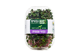 נבטי צנונית אורגניים- נבטי העמק