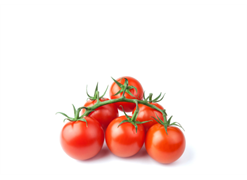 מבצע שרי אורגני במשקל