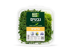 נבטי עדשים אורגניים- נבטי העמק