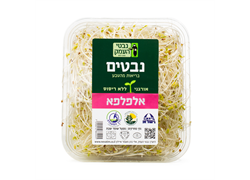 נבטי אלפלפא אורגניים- נבטי העמק