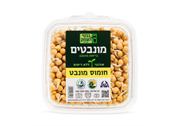 נבטי חומוס אורגניים- נבטי העמק