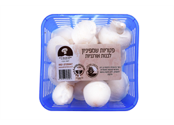 פטריות שמפיניון לבנות אורגניות- שדות