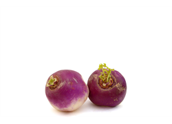 לפת אורגנית