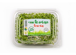 נבטי חרדל אורגניים - הנבטים של אודי