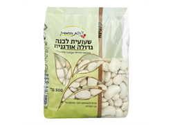 שעועית לבנה גדולה אורגנית- ניצת הדובדבן