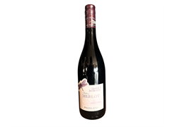 יין מרלו אדום יבש אורגני - פיצולאטו