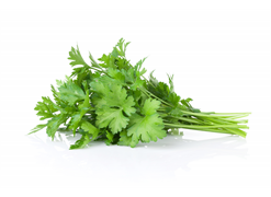 מבצע כוסברה/פטרוזיליה/שמיר ארוז אורגני