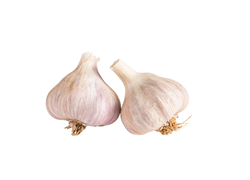 שום יבש ארוז אורגני