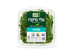 מבצע נבטי העמק