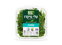 נבטי אפונה אורגניים - נבטי העמק