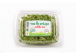 מבצע הנחת חבר לפירות וירקות אתר