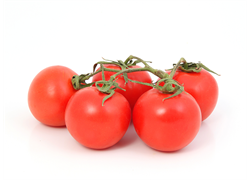 עגבניה אורגנית