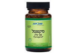 פיקנוגינול 120 מג 30 כמוסות בדצ סופהרב