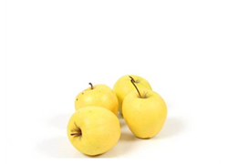 תפוח עץ מוזהב אורגני
