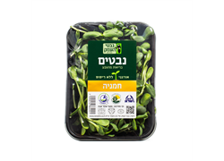נבטי חמניות אורגניים- נבטי העמק