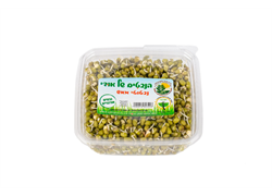 נבטוטי מאש אורגניים - הנבטים של אודי