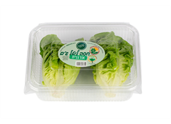 מבצע הנחת חבר לפירות וירקות אתר