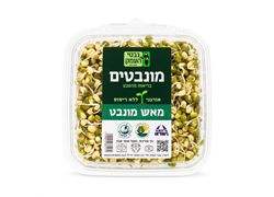 נבטי מאש מונבט אורגניים- נבטי העמק