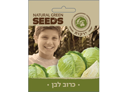 זרעים כרוב לבן עגול אורגני