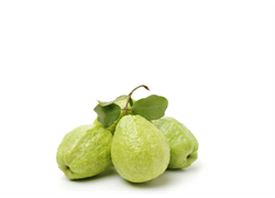 גויאבה אורגנית