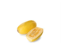 דלעת ספגטי אורגנית
