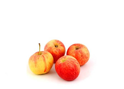 תפוח עץ פינק ליידי אורגני