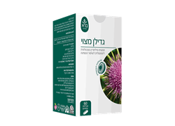 גדילן מצוי - ברא צמחים 