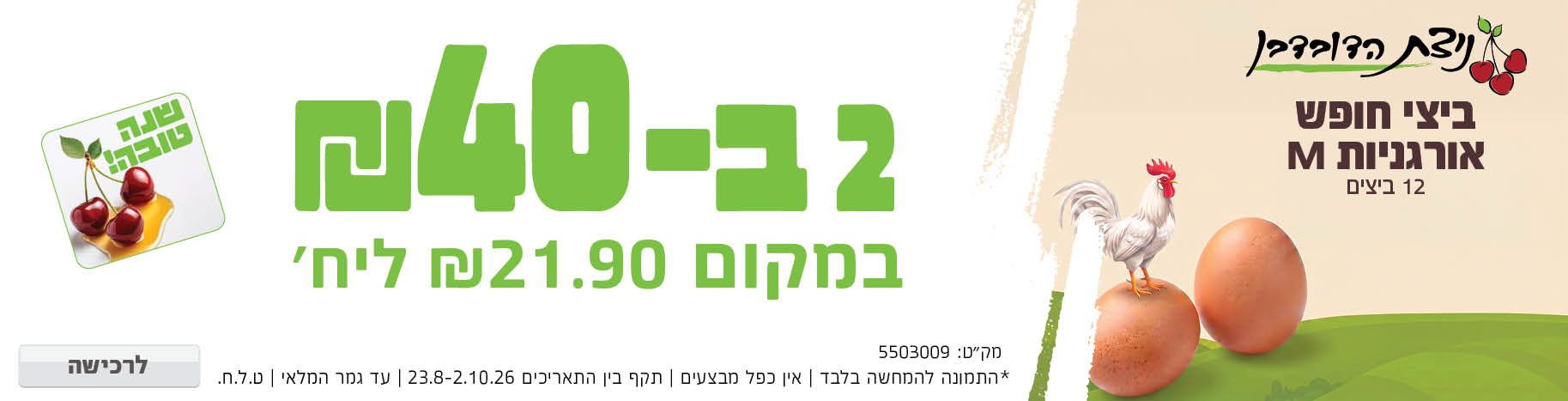 באנר מבצע  ביצים אורגניות